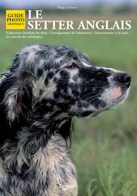 Image de SETTER ANGLAIS