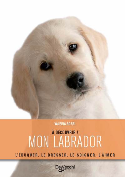 Image de MON LABRADOR