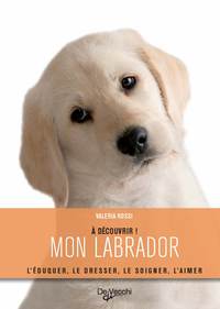 Image de MON LABRADOR