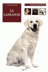 Image de LABRADOR