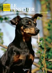 Image de PINSCHER