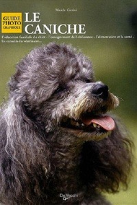 Image de CANICHE