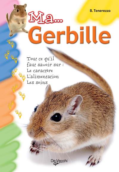 Image de MA GERBILLE