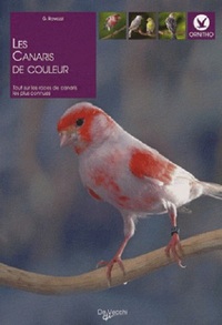 Image de CANARIS DE COULEUR