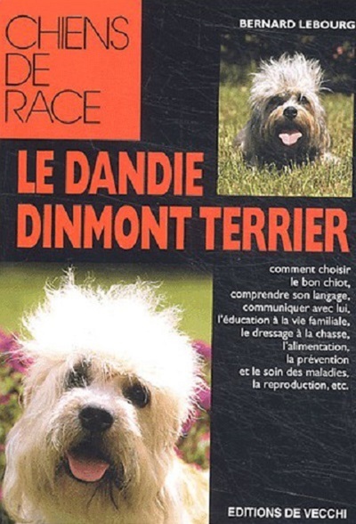 Image de DANDIE DINMONT TERRIER