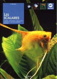 Image de SCALAIRES