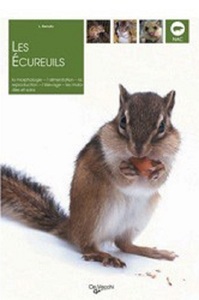 Image de ECUREUILS