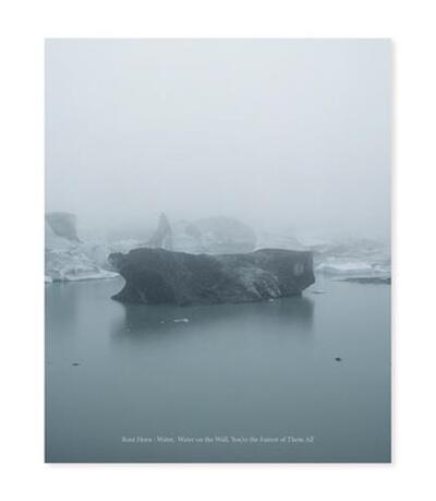 Picture of Roni Horn Water Water On the Wall, You re the Fairest of Them All /anglais