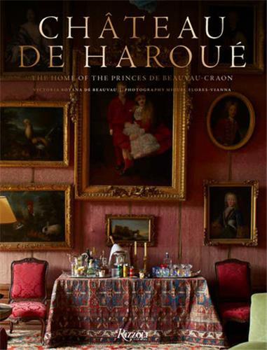 Picture of Chateau De HarouE /anglais