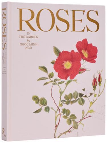 Picture of Roses In The Garden /anglais