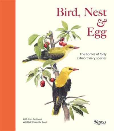 Image de Bird, Nest & Egg /anglais