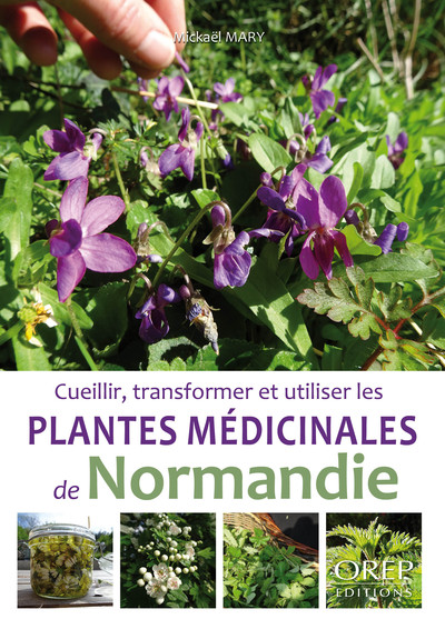 Picture of Plantes médicinales de Normandie