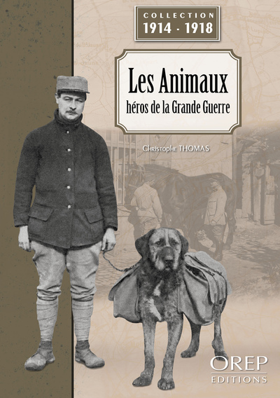 Image de Les animaux, héros de la Grande Guerre