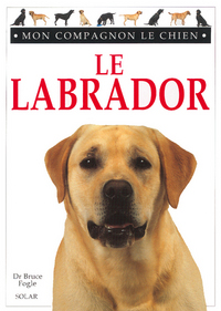Image de Le labrador