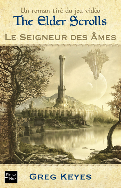 Image de The Elder Scrolls Le seigneur des âmes - tome 2
