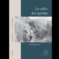 Picture of La vallée des éperdus