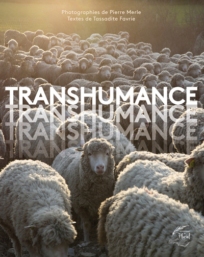 Picture of Transhumance