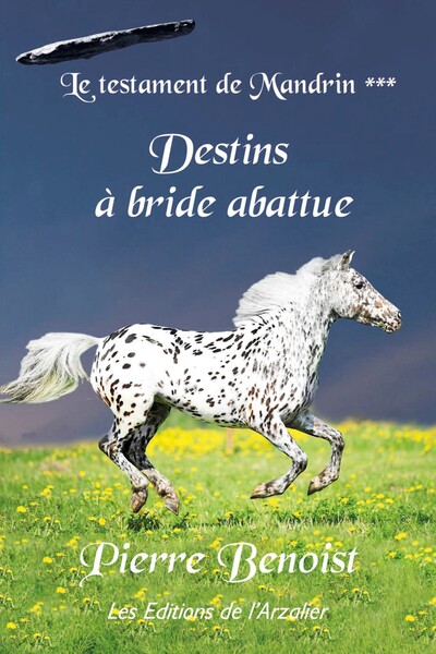 Image de Le testament de Mandrin T3