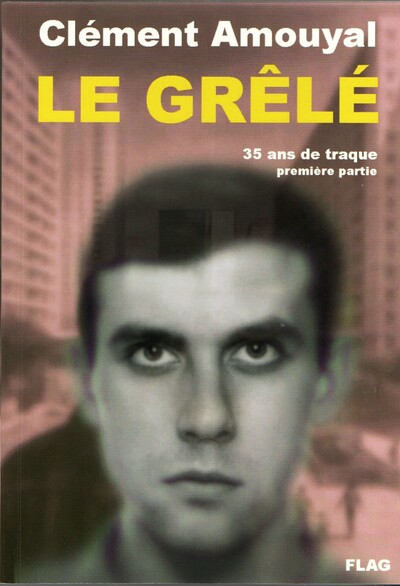 Image de LE GRELE : LA VERITABLE ENQUETE SUR LE GRELE
