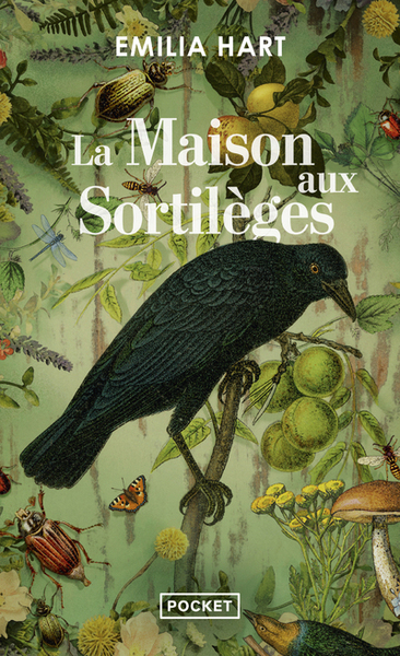 Picture of La Maison aux sortilèges