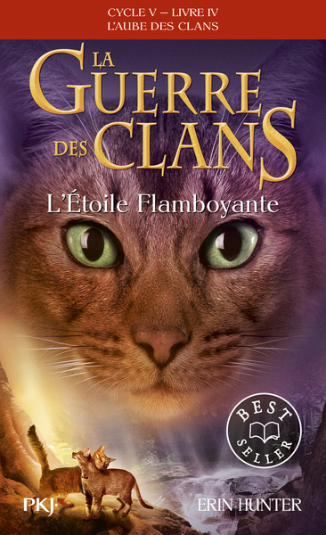 Picture of La guerre des Clans cycle V - tome 4 L'Etoile Flamboyante