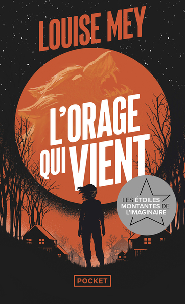Image de L'orage qui vient