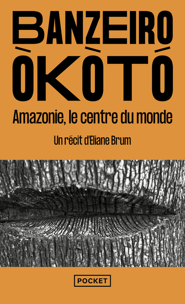 Picture of Banzeiro Òkòtó - L'Amazonie, le centre du monde