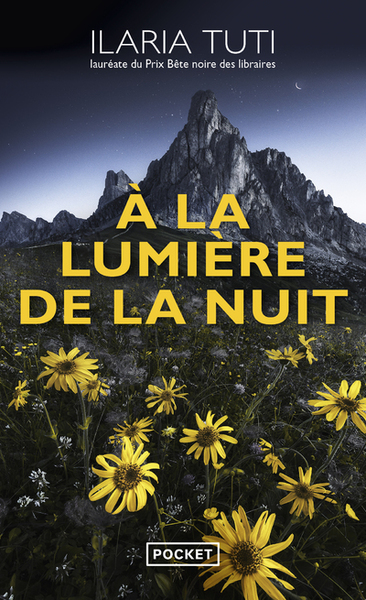 Image de A la lumière de la nuit