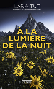 Image de A la lumière de la nuit