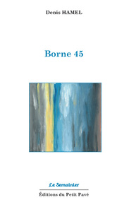 Picture of Borne 45
