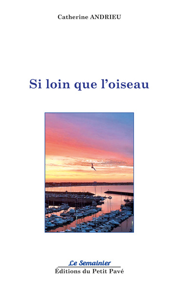 Image de Si loin que l'oiseau