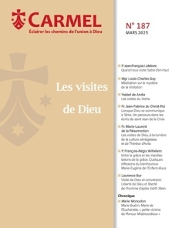 Picture of Les visites de Dieu