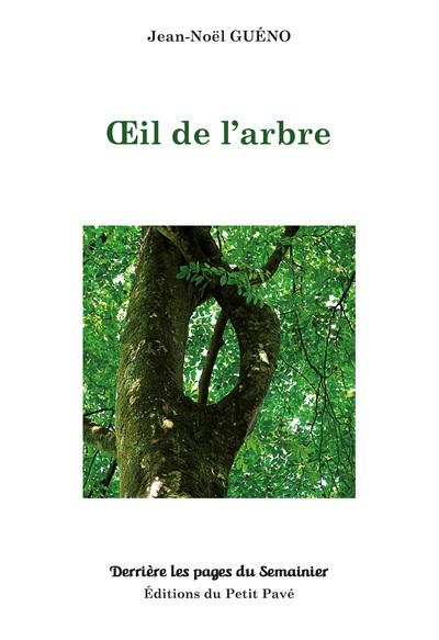 Image de Œil de l’arbre