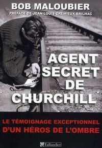 Picture of Werner Best un nazi de l'ombre