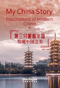 Picture of My China Story: Fascinations of modern China