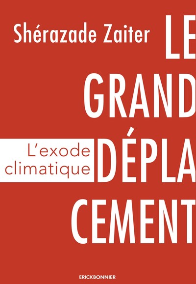 Picture of le grand déplacement