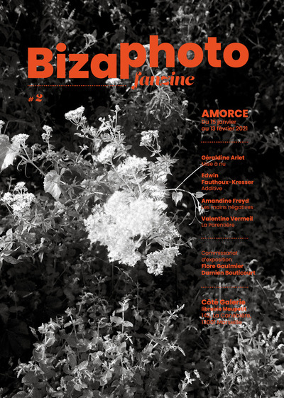 Image de Bizaphotofanzine#2