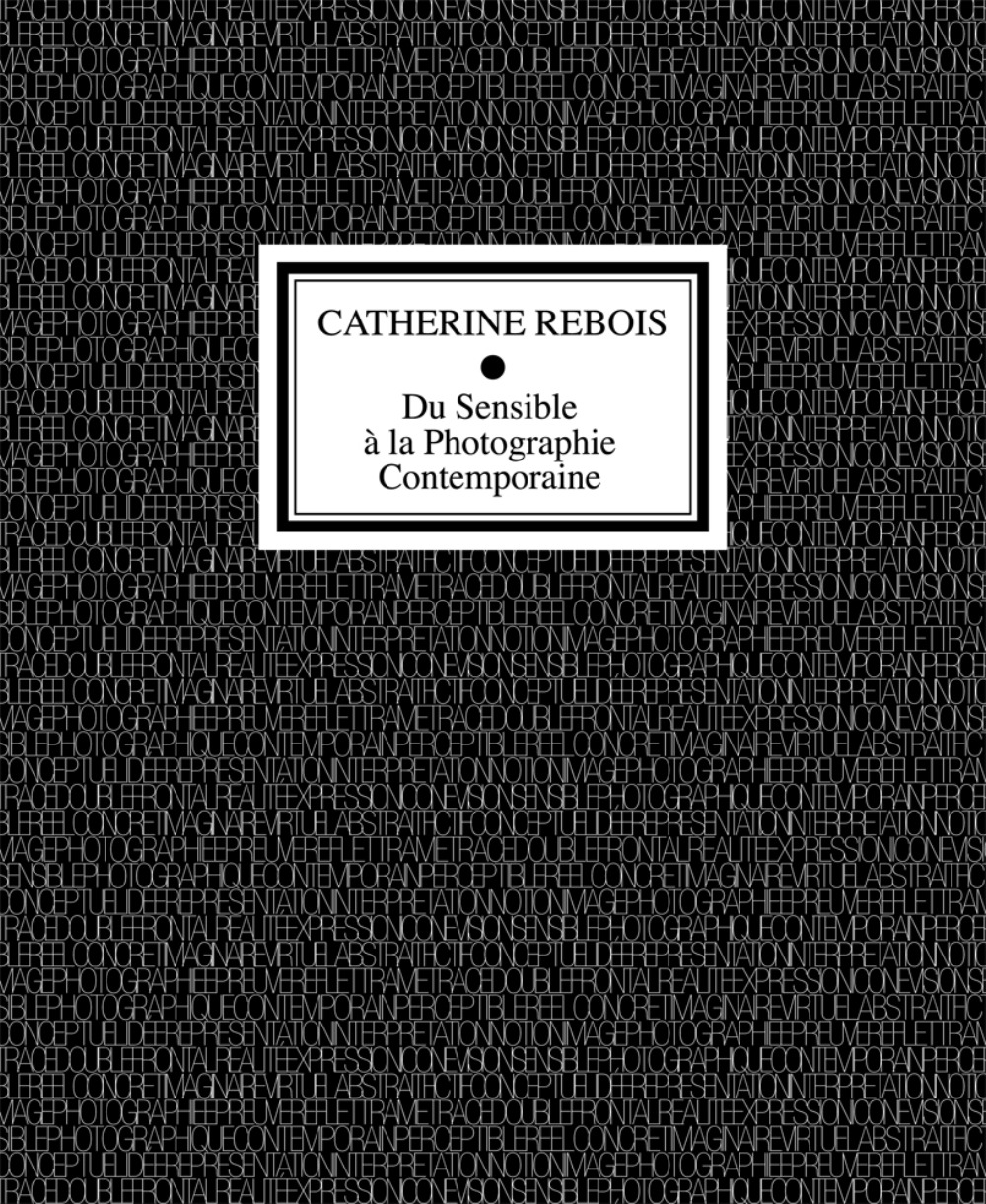 Du sensible à la photographie contemporaine - [journée d'étude, Paris, Espace Topographie de l'art, 29 novembre 2014] (9782366690248-front-cover)