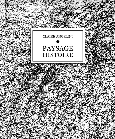 Paysage histoire (9782366690439-front-cover)