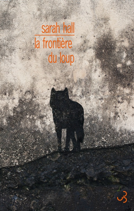 LA FRONTIERE DU LOUP (9782267029345-front-cover)