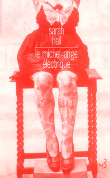 LE MICHEL-ANGE ELECTRIQUE (9782267017335-front-cover)