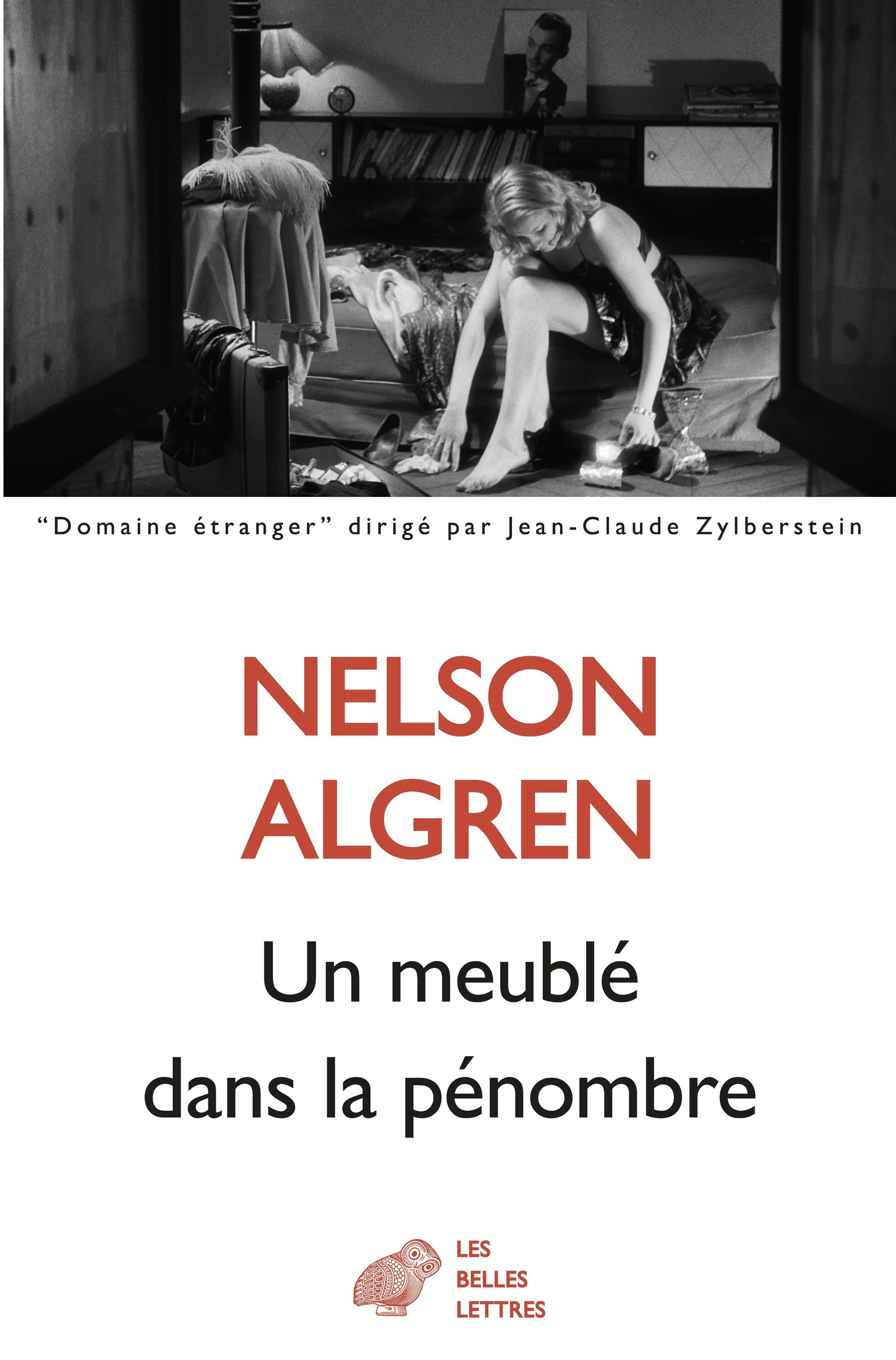 Un meublé dans la pénombre (9782251457123-front-cover)