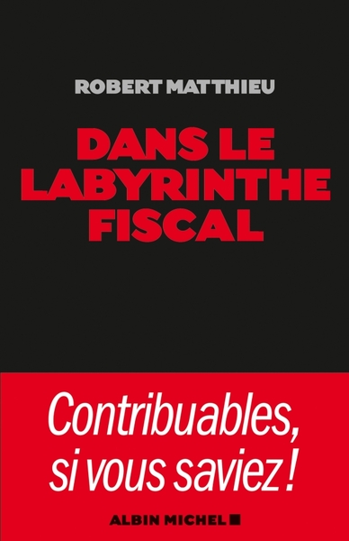 Dans le labyrinthe fiscal (9782226195982-front-cover)