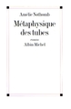 Métaphysique des tubes (9782226116680-front-cover)