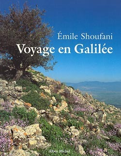 Voyage en Galilée (9782226111449-front-cover)