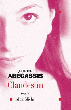 Clandestin (9782226141620-front-cover)