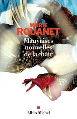 Mauvaises nouvelles de la chair (9782226188526-front-cover)