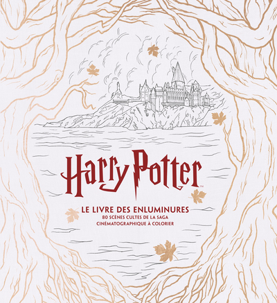 HARRY POTTER, LE LIVRE DES ENLUMINURES 80 SCENES CULTES DE LA SAGA CINEMATOGRAPHIQUE A COLORIER (9782364806023-front-cover)