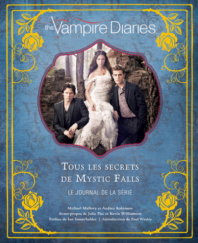 VAMPIRE DIARIES (9782364806153-front-cover)