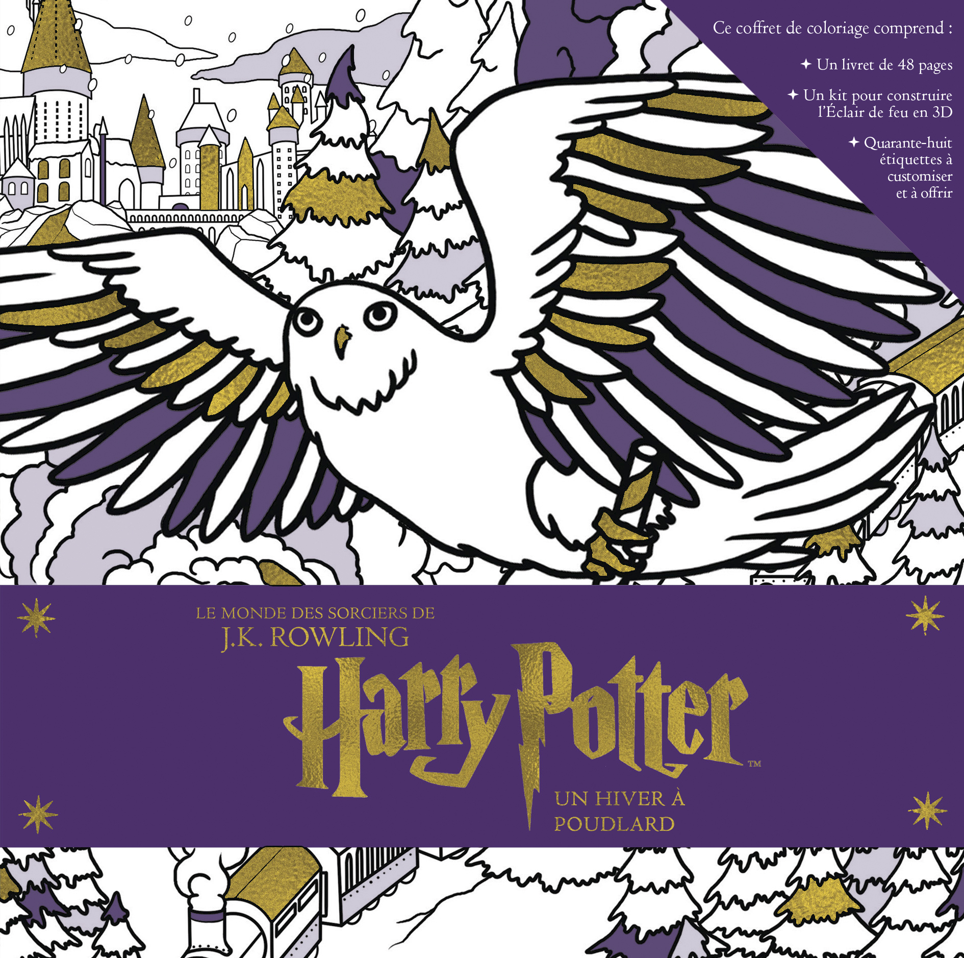 HARRY POTTER, UN HIVER A POUDLARD (9782364805057-front-cover)